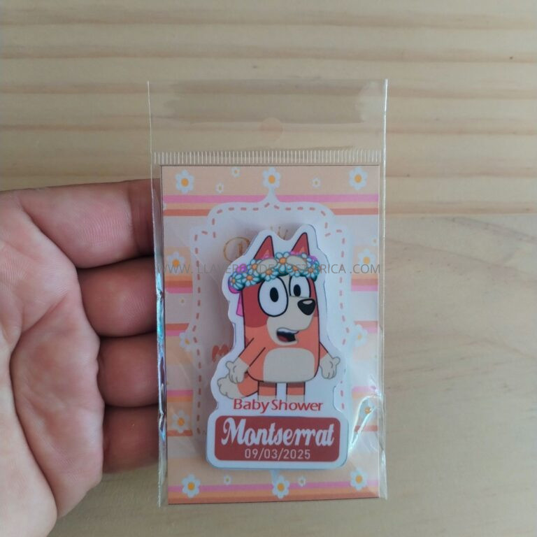 Magneto de Bluey (1)
